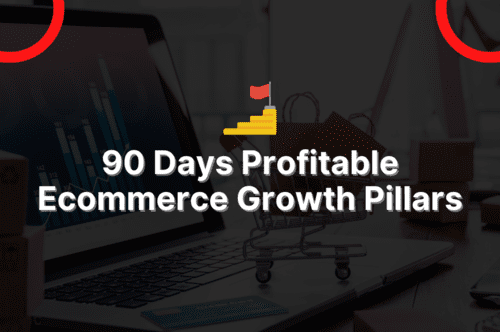 90 Days Profitable Ecommerce Growth Pillars - Ecommerce Success Incubator