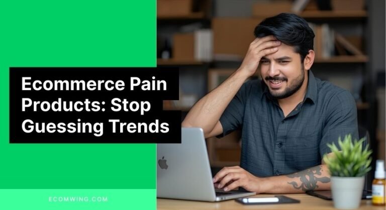Image showing a seller offering Ecommerce pain products that solve real customer problems.